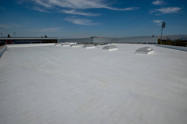 Best Sheet Metal Roofing  in Park Layne, OH