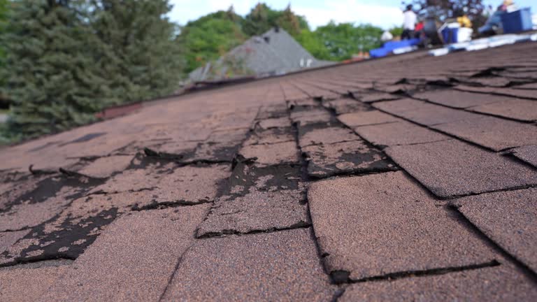 Best Slate Roofing  in Park Layne, OH
