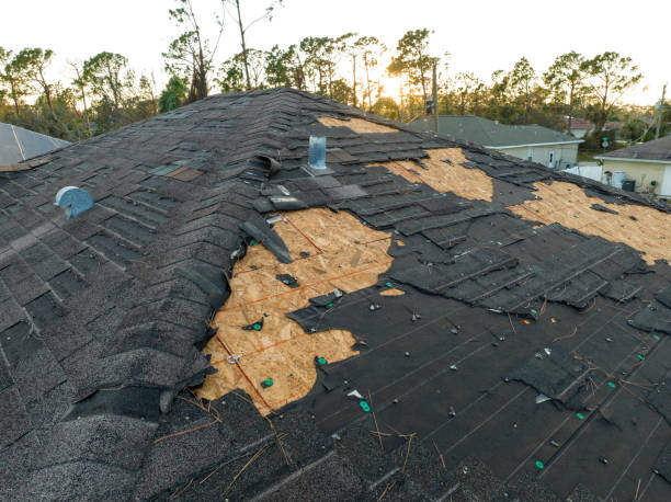 Best Roofing for New Construction  in Park Layne, OH